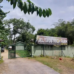 Jelita Ostrich Farm - Mantin