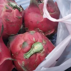Local Night Market (Pasar Malam Mantin) - Mantin