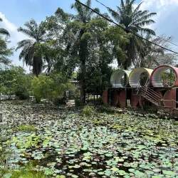 Mantin Lake Garden - Mantin