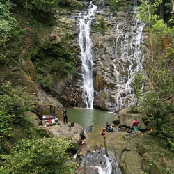 Endau-Rompin National Park - Mersing