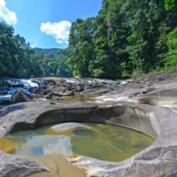 Endau-Rompin National Park - Mersing