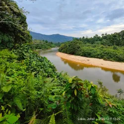 Endau-Rompin National Park - Mersing
