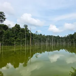 Endau-Rompin National Park - Mersing