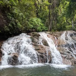 Endau-Rompin National Park - Mersing