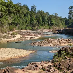 Endau-Rompin National Park - Mersing