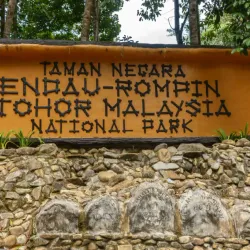 Endau-Rompin National Park - Mersing