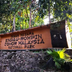 Endau-Rompin National Park - Mersing