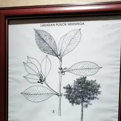 Mersing Cultural Village - Mersing