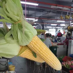 Mersing Night Market - Mersing