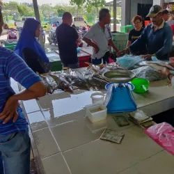 Mersing Night Market - Mersing