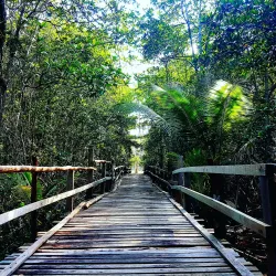 Sibu Island - Mersing