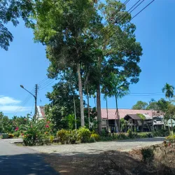 Melanau Longhouse Experience - Mukah