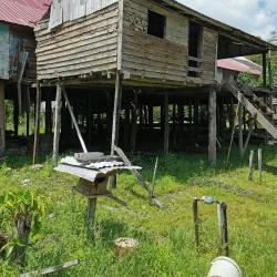 Melanau Longhouse Experience - Mukah