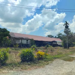 Melanau Longhouse Experience - Mukah
