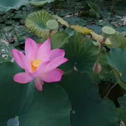 Nilai Memorial Park - Nilai