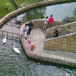 Bukit Tinggi - Pahang