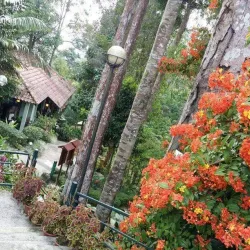 Bukit Tinggi - Pahang
