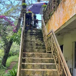 Fraser's Hill - Pahang