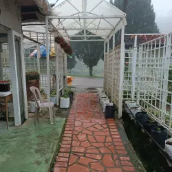 Fraser's Hill - Pahang