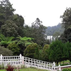 Fraser's Hill - Pahang