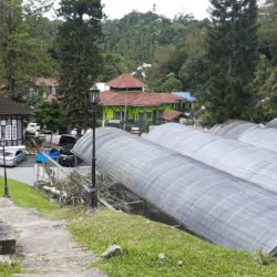 Fraser's Hill - Pahang