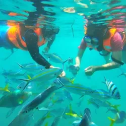 Pulau Tioman (Tioman Island) - Pahang