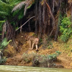 Sungai Lembing - Pahang