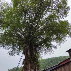 Sungai Lembing - Pahang