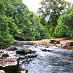 Taman Negara National Park - Pahang