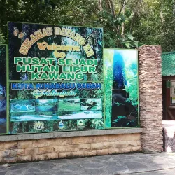 Kawang Forest Reserve - Papar