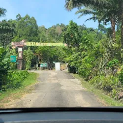 Kawang Forest Reserve - Papar