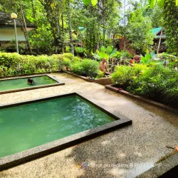 Kawang Forest Reserve - Papar