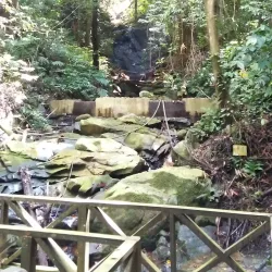 Kawang Forest Reserve - Papar