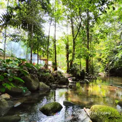 Kawang Forest Reserve - Papar