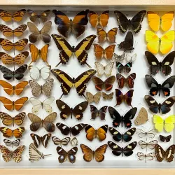 Papar Community Museum - Papar