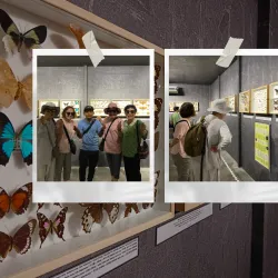 Papar Community Museum - Papar