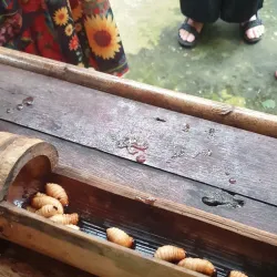 Papar Cultural Village - Papar