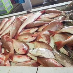 Papar Wet Market - Papar