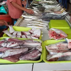 Papar Wet Market - Papar