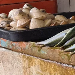 Papar Wet Market - Papar