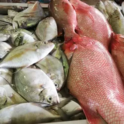 Papar Wet Market - Papar