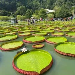 Penang Botanic Gardens - Penang
