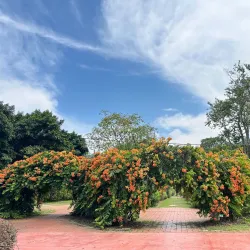 Penang Botanic Gardens - Penang