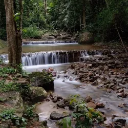 Penang Botanic Gardens - Penang
