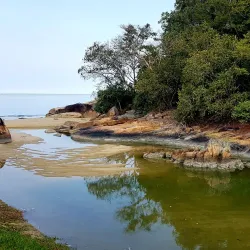 Penang National Park - Penang