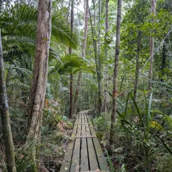 Penang National Park - Penang