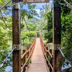 Penang National Park - Penang