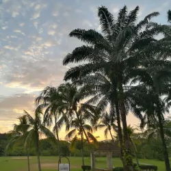 Puchong Lake Park (Taman Tasik Puchong) - Puchong