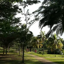 Puchong Lake Park (Taman Tasik Puchong) - Puchong