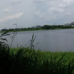 Taman Meranti Jaya - Puchong